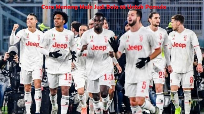 Cara Menang Main Judi Bola 88 Untuk Pemula